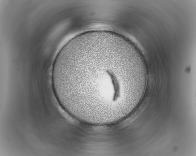 X0000090751421200708172018