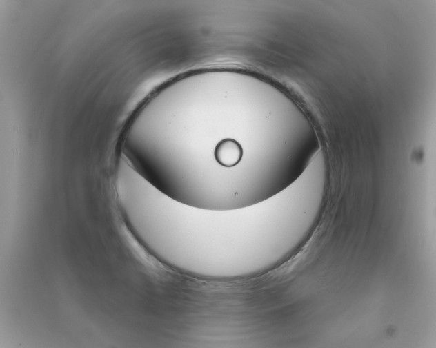 X0000090751422200708172018
