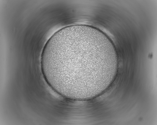 X0000090751423200708172018