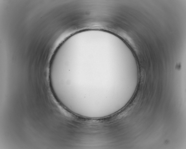 X0000090751424200708172018