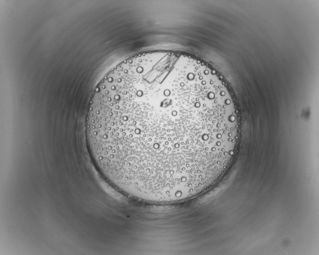 X0000090751425200708172018