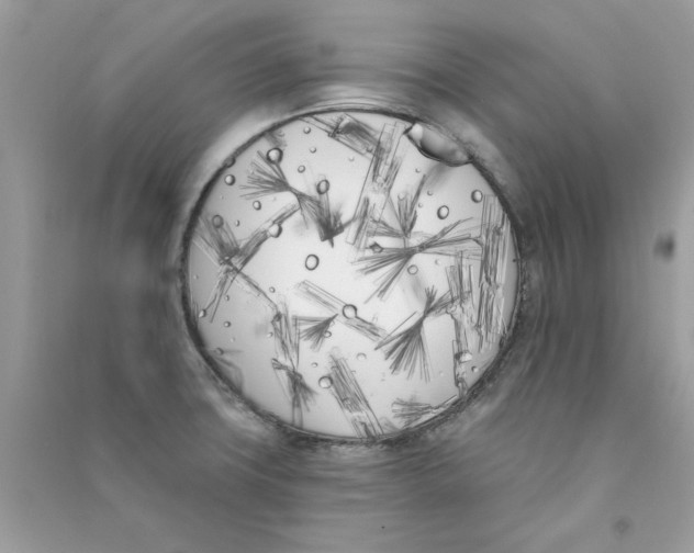 X0000090751427200708172018