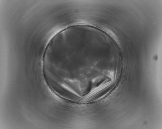 X0000090751428200708172018