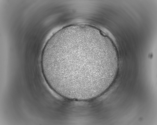 X0000090751429200708172018