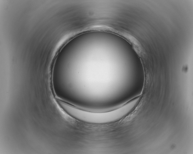 X0000090751430200708172018