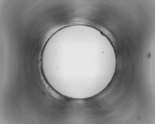 X0000090751431200708172018