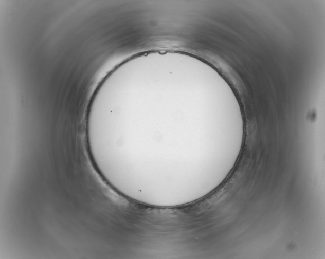 X0000090751432200708172018