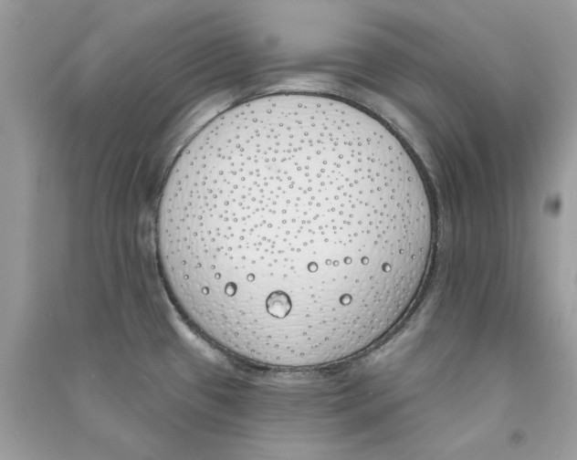 X0000090751433200708172018
