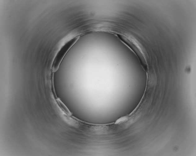 X0000090751434200708172019