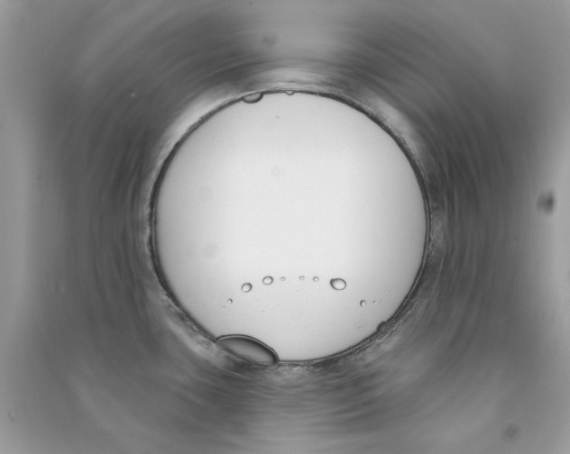 X0000090751435200708172019