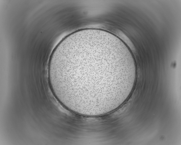 X0000090751436200708172019