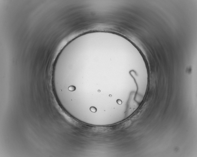 X0000090751437200708172019