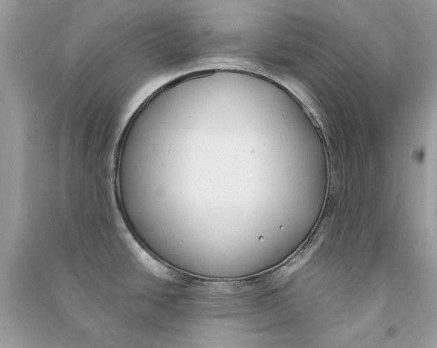 X0000090751438200708172019