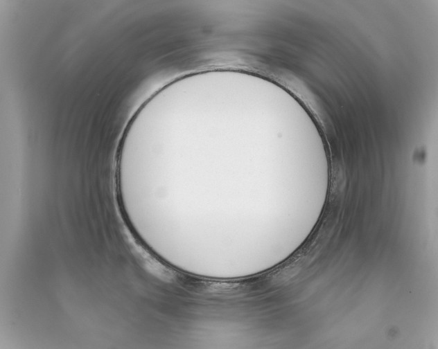 X0000090751439200708172019