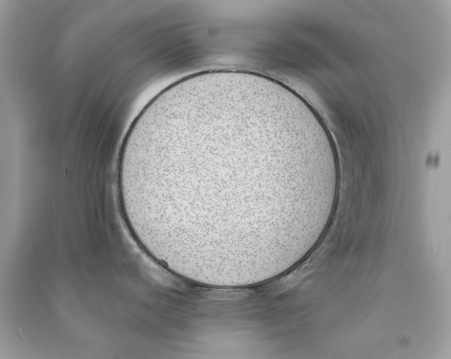X0000090751440200708172019
