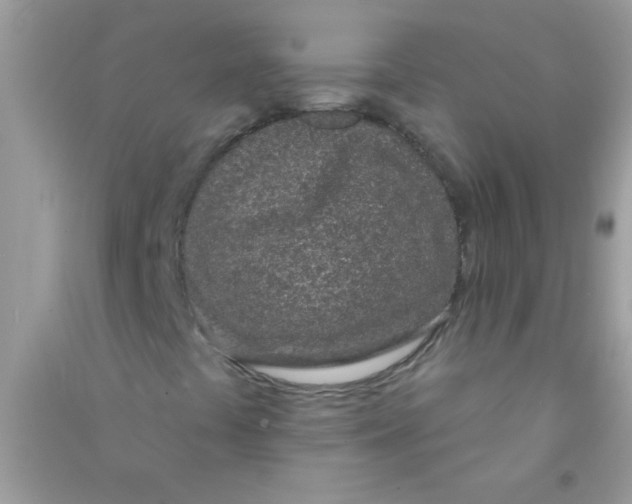X0000090751441200708172018