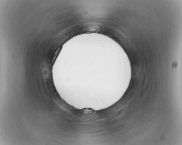 X0000090751442200708172018