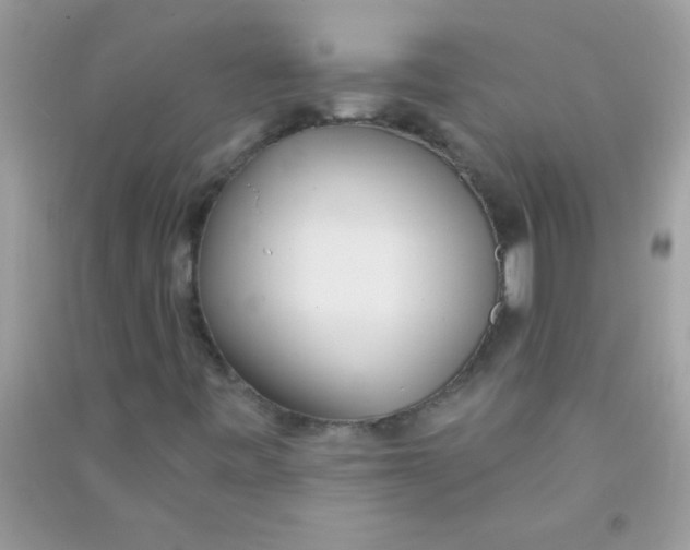 X0000090751443200708172018