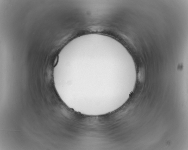 X0000090751444200708172018