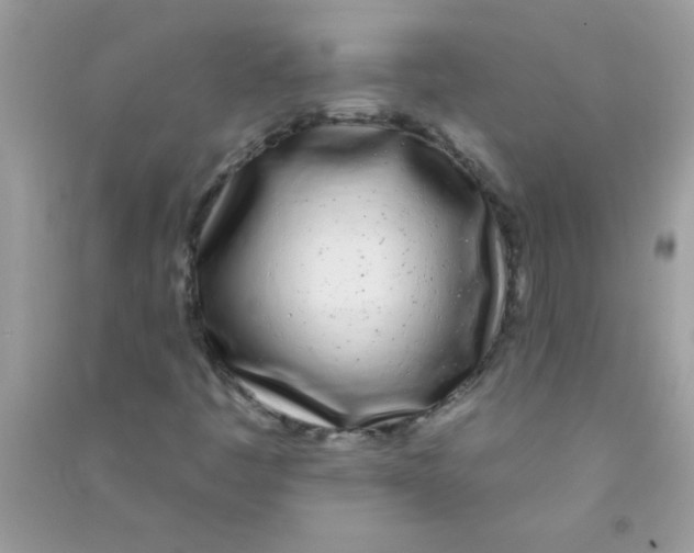 X0000090751445200708172018