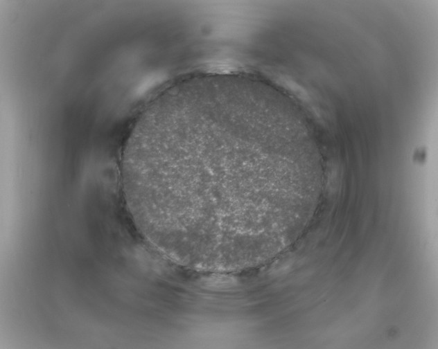 X0000090751446200708172018