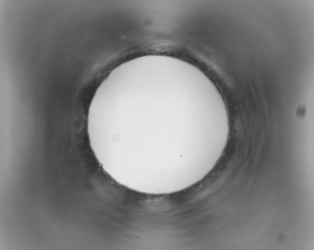 X0000090751447200708172018