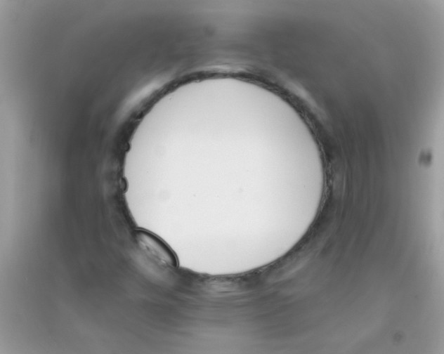X0000090751448200708172018