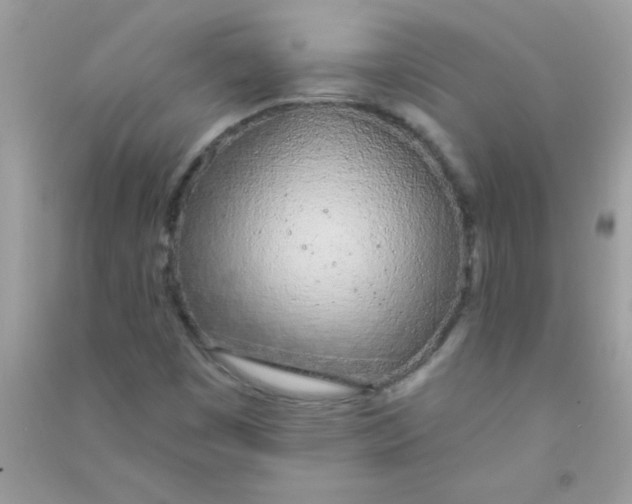 X0000090751449200708172018