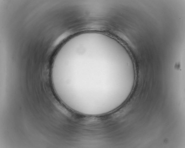 X0000090751450200708172018