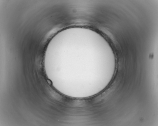 X0000090751451200708172018