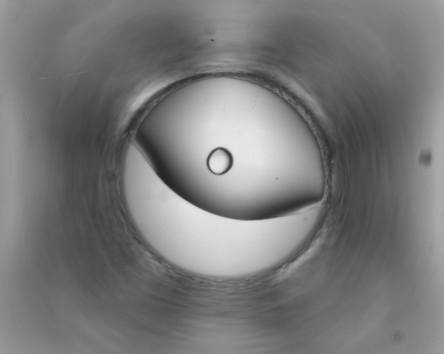 X0000090751453200708172018