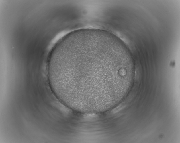 X0000090751454200708172018