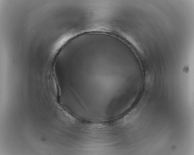 X0000090751455200708172018