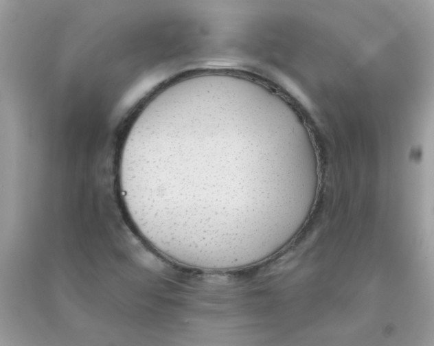 X0000090751456200708172018