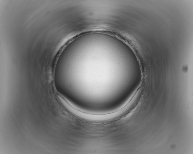 X0000090751457200708172018