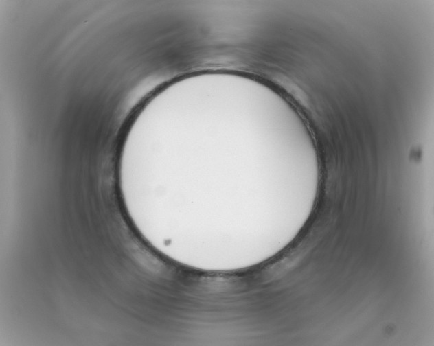 X0000090751458200708172018
