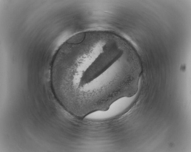 X0000090751459200708172018