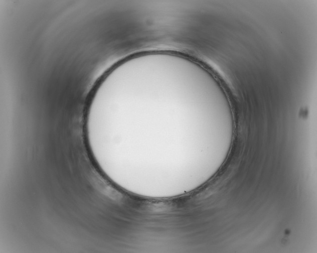 X0000090751460200708172018