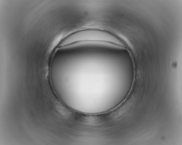 X0000090751461200708172018