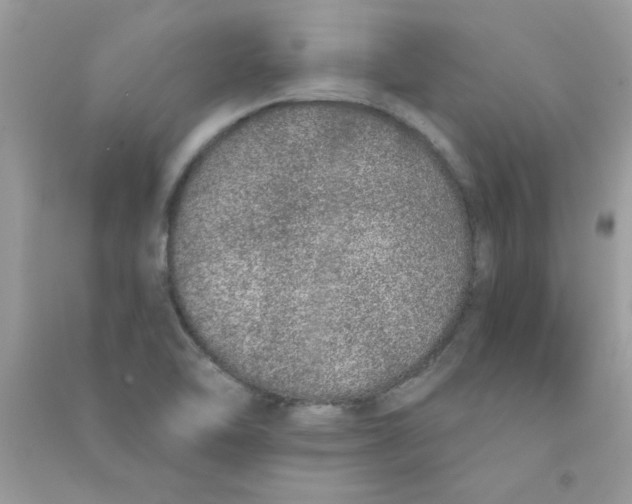X0000090751462200708172018