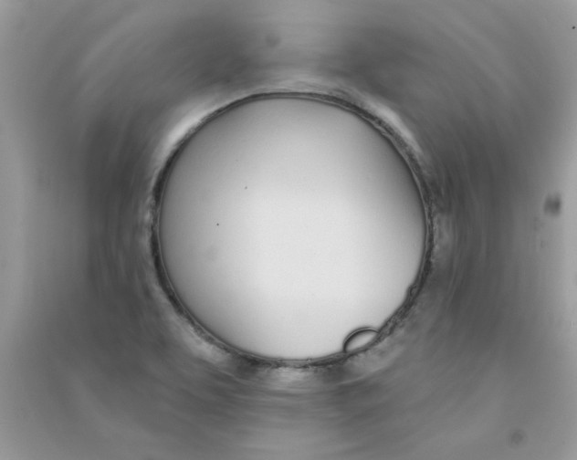 X0000090751463200708172018