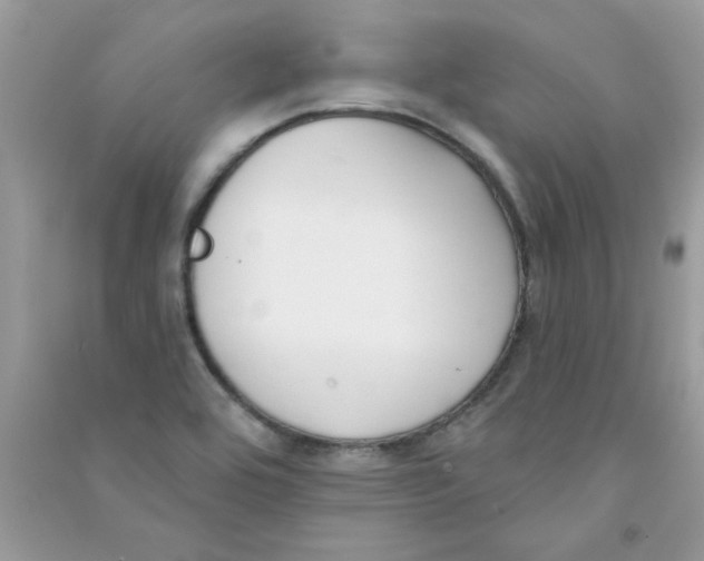 X0000090751464200708172018