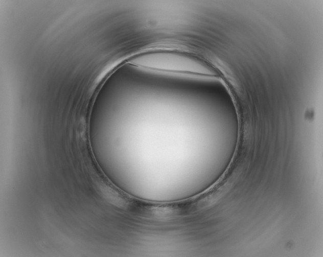 X0000090751465200708172018