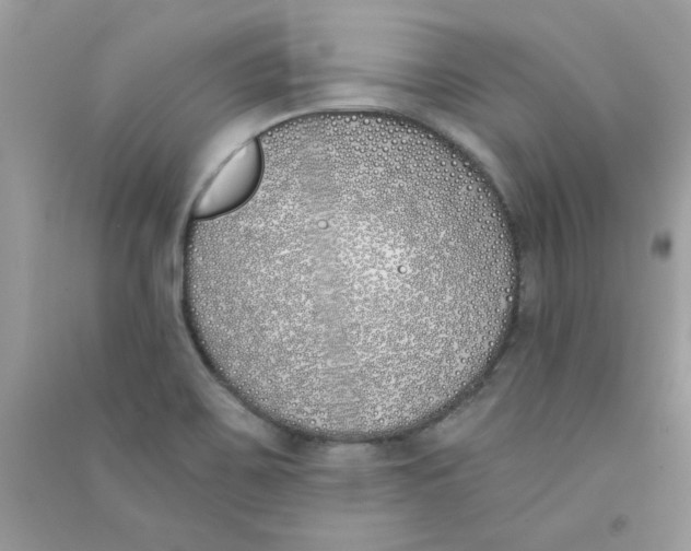 X0000090751467200708172018