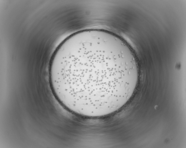 X0000090751468200708172018