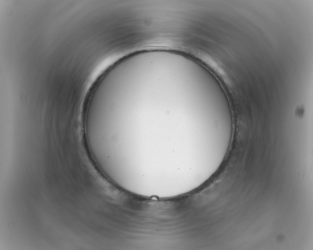 X0000090751469200708172018