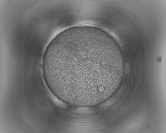 X0000090751470200708172018
