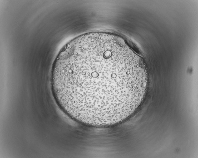 X0000090751471200708172018