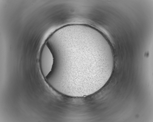 X0000090751472200708172018