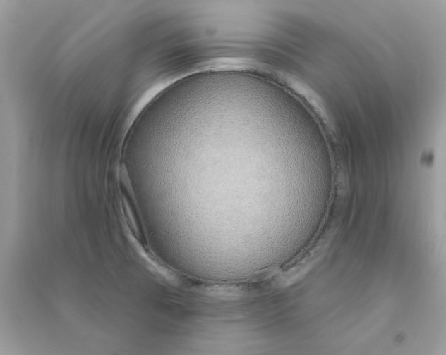 X0000090751473200708172018